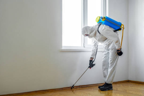 Reliable Rossmoor, NJ Pest Control Solutions